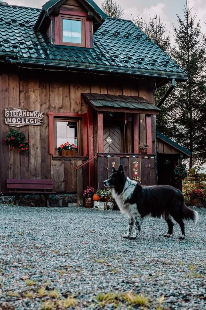 Chata Drewniana Stefanowka Slemien Exterior photo